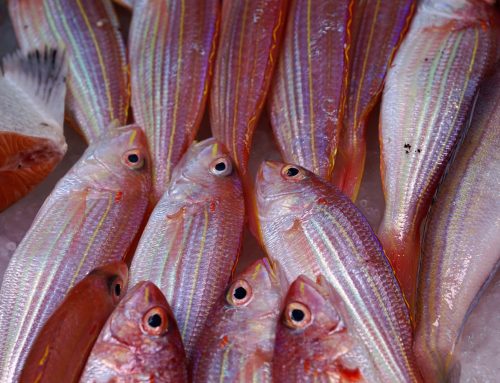 Zuppa di pesce con la cipolla