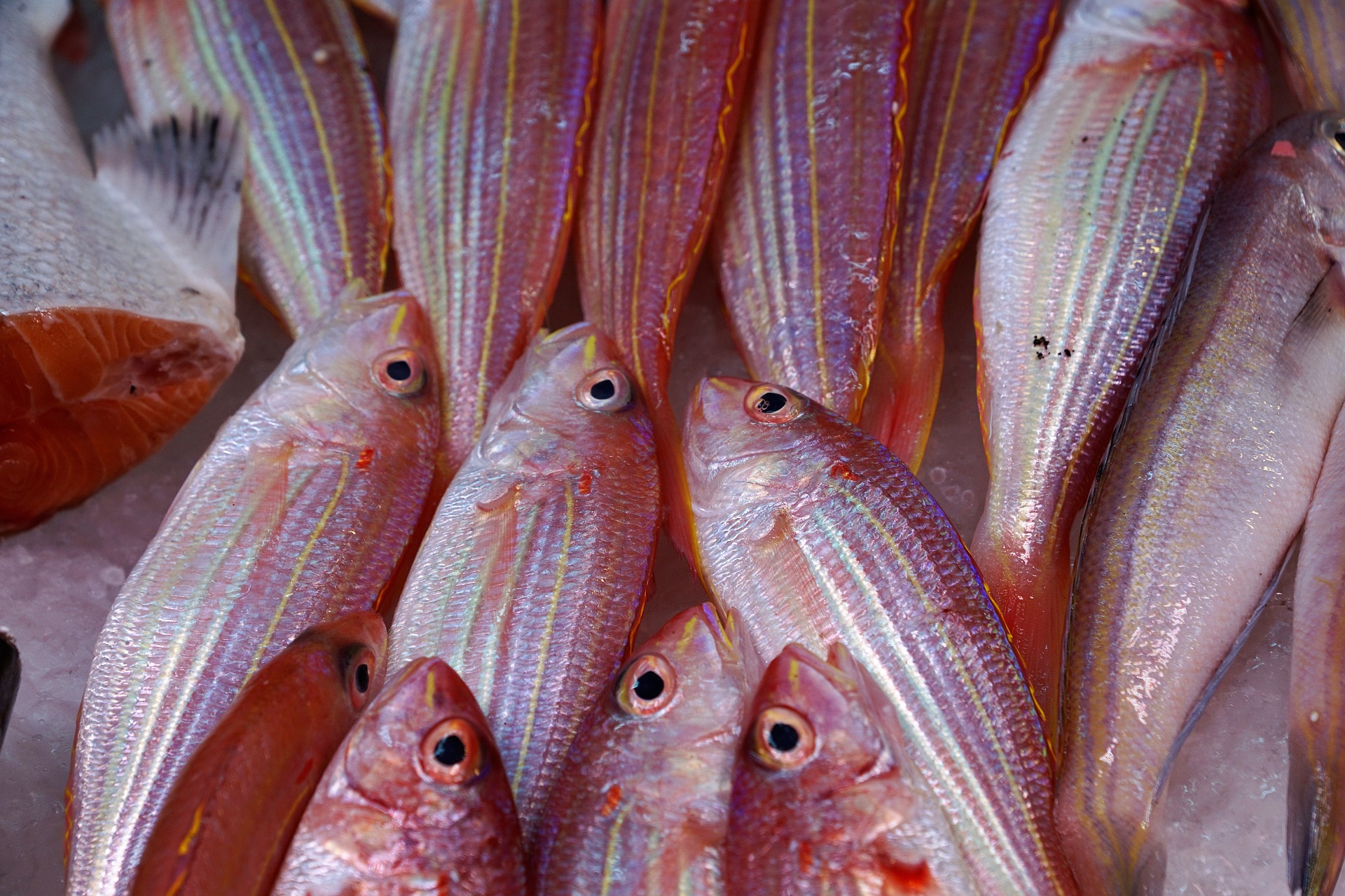 Zuppa di pesce con la cipolla