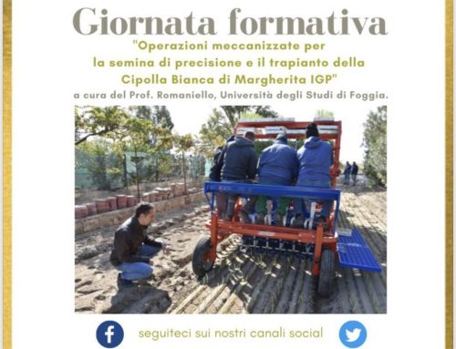 Cipomar: incontro sui risultati delle attività svolte con il progetto